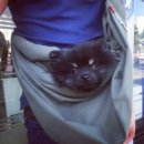 다사랑 동물병원 이미지