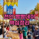 남양열린운동장 족구장 | 2025 천안 빵빵데이 드론쇼 라인업 핵심 요약