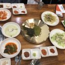 감성9091돼지
