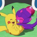 사시미래 이미지