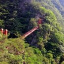 농협사거리(삼성생명) 이미지