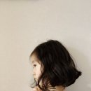 도도헤어살롱 - 정읍시 수성로 44 | 도도헤어살롱