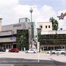 수직의 정원 이미지