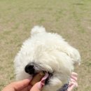 와락 네이버블로그