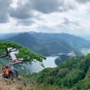 소나무와 호수 이미지