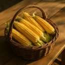 9000년을 이어온 옥수수의 역사, 먹기 전에 알면 더 맛있다
