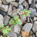 영오캠핑장 이미지