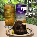 카페 사려니숲 | 제주 여행지 추천 동쪽 가볼만한곳 비밀의숲 사려니숲길 근처 카페 안도르 내돈내산 솔직후기