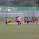 평림구장 이미지