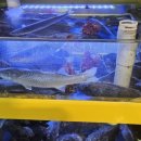 민석이네삼형제 이미지