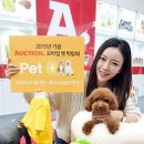 펫플러스 이미지