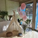 어반크루즈 이미지