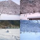 샛들민박 이미지