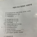 청개구리부동산중개 | 청년버팀목전세대출(중기청 대출기)2편 - [은행 대출 심사]