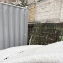 가나안 김밥 | 2026. 2월 #4