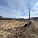 보천농장 이미지