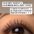 다산 별내속눈썹펌 전문 속눈썹영양제 속눈썹성장제 구리래쉬애딕트 공식판매점 그로우업 리얼 후기 추천