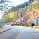 평인일주로 이미지