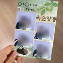 양갱사진관