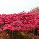 꽃동산경로당 이미지