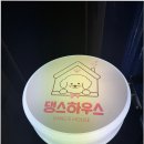 부산애견호텔 댕스스쿨 이미지