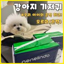 네네린도 오르마 수컷 강아지 기저귀 후기.
