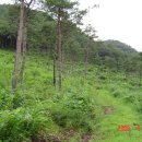 영락농장 이미지