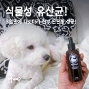 프로펫 | 강아지 유산균 추천템! 닥터프로펫 식물성이라 아토피아이도 OK