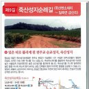 영남길 Daum카페