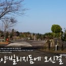 선양 빌리지돔 이미지