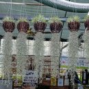 참살이농장 이미지