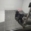 수원-1552 이미지