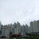 동성아파트 진입로 이미지