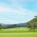 블루원용인CC 이미지