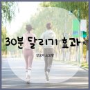 [ZOOM] 작은달리기로 만드는 변화 | 30분 달리기 효과 칼로리 소모량 체지방 변화까지 한눈에