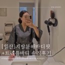 일산 피부과 지방분해 바디핏주사+트리플바디 복부 솔직후기