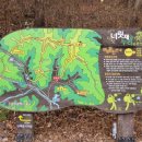 너릿재구도로 이미지