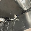 (주)경동나비엔 | 경동나비엔 청정환기 구독 설치 후기