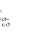 세무회계첨성 이미지