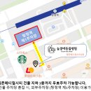 늘곁에동물병원 | [천안아산 동물병원] 강아지 소장 이물 수술 케이스 (소장절개술) / 늘곁에동물병원