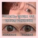 하비스푼 | 렌즈타운 로맨티모하비 브라운 카키그린 13.5mm 데일리 컬러렌즈 발색 착용감