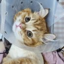 수원-0344 이미지