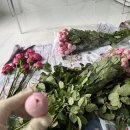수명제 | ［촬영부케］욕심쟁이 신부의 고속터미널 꽃시장 셀프부케 후기