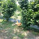 생극농장 이미지