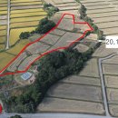 보금자리 이미지