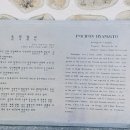 구읍리 석불입상 이미지