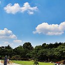 뭉게구름 이미지