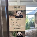 월드하우스 | 판다월드, 세컨하우스 방문 후기 ②