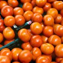 오늘도 골프 이미지