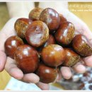 한산농장 이미지